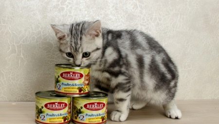 Nourriture pour chats Berkley