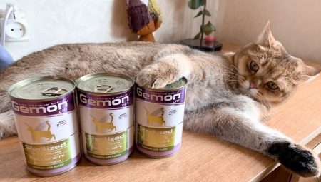 Food for cats and cats Gemon