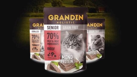 Food for cats and cats Grandin Holistic
