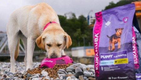 Eukanuba dog and cat food