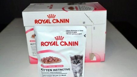 ROYAL CANIN pour chatons