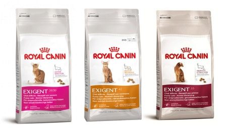 ROYAL CANIN food for fastidious cats