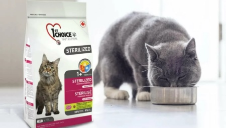 Review of 1st CHOICE food for cats and cats