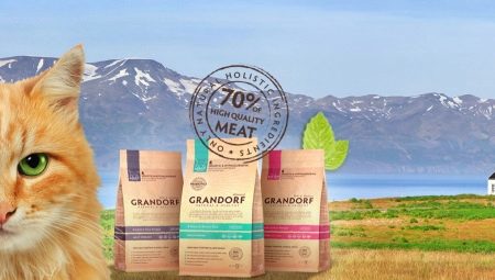 Review of food for cats and cats GRANDORF