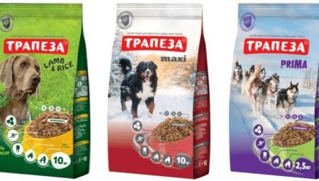 Dog Food Review Meal