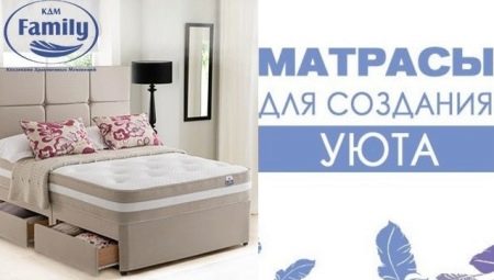 Επισκόπηση οικογενειακού στρώματος