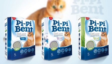 Examen des remplisseurs pliés Pi-Pi