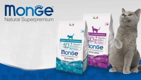 Review of Monge wet food for cats and cats