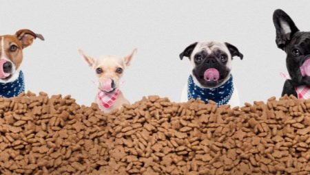 Description and overview of holistic food for small breed dogs