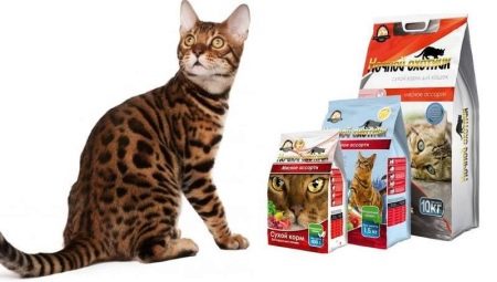 Description of food for cats and cats Night Hunter