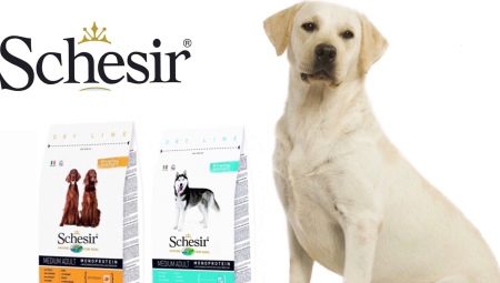 Description of Schesir dog food