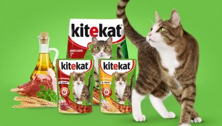 Description of Kitekat feed