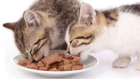Description of Purina Pro Plan wet food for kittens