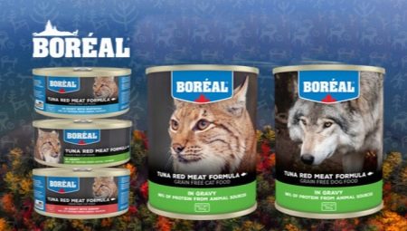 Features of Boreal feed