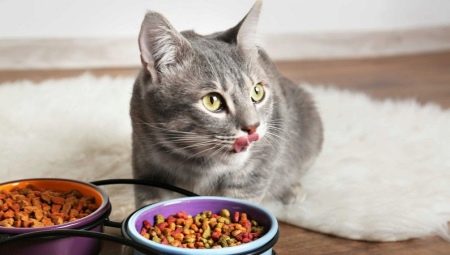 Features of Natural Trainer food for cats and cats
