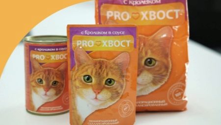 Features of food for cats and cats ProTail