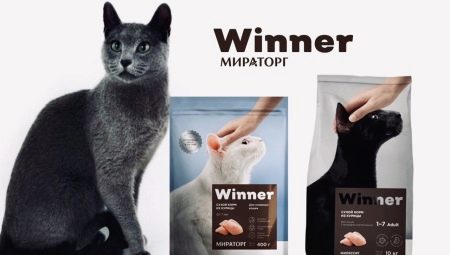 Features of food for cats and cats Winner