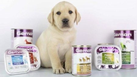 Features of Gemon dog food