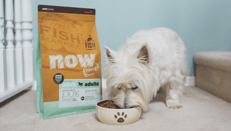 Χαρακτηριστικά της NOW FRESH Small Breed Dog Food