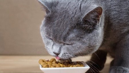 Features of food for sterilized cats and cats PERFECT FIT