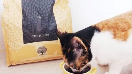 Features of Jaguar cat food
