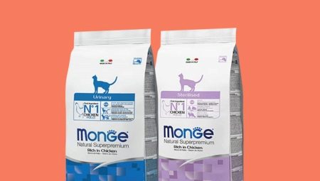 Features of Monge food for kittens