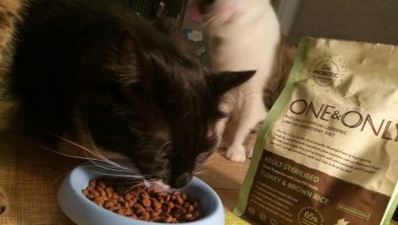 Features of One & Only feed