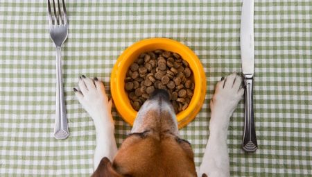 Features of Petdiets feed