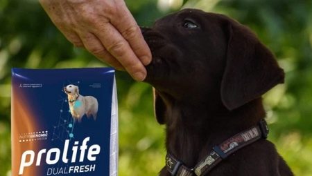 Features of Prolife feed