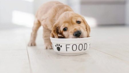 Features of Purina Dog Chow puppy food