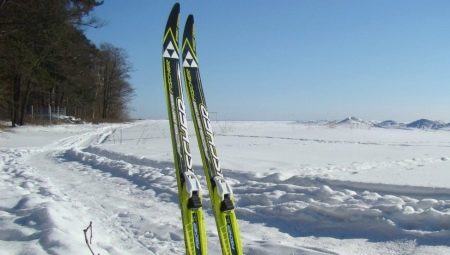 Features of plastic skis