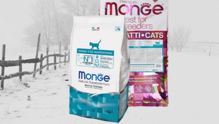 Features of Monge dry food for cats and cats