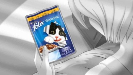 Features of wet food for cats and cats Felix