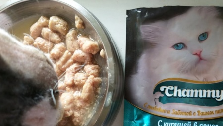 Variété de nourriture Chammy