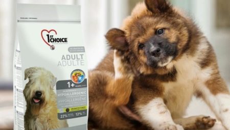 Variété de nourriture pour chien 1er CHOIX
