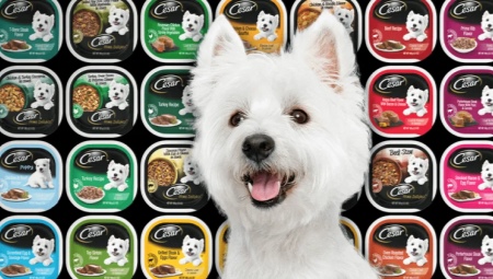 Variety of Cesar dog food