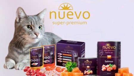 Variety of feeds Nuevo