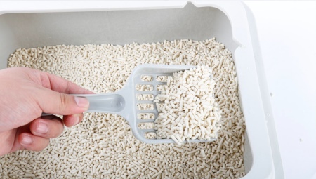 Variety of Corn Fillers Golden Cat