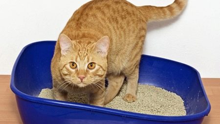 Variety of Brava cat litter