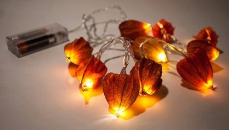 Variety of physalis crafts