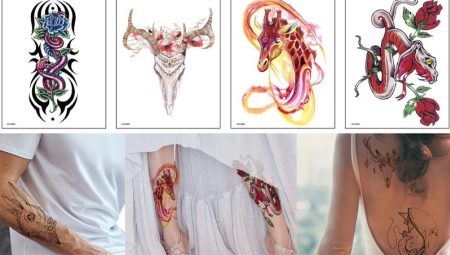 Variety of programs for creating tattoo sketches