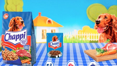 Variété de nourriture sèche pour chiens Chappi