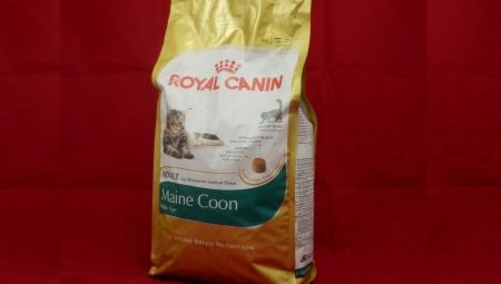 ROYAL CANIN for Maine Coon cats