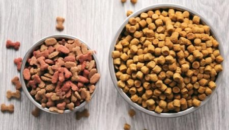 Comparison of Purina Pro Plan and ROYAL CANIN