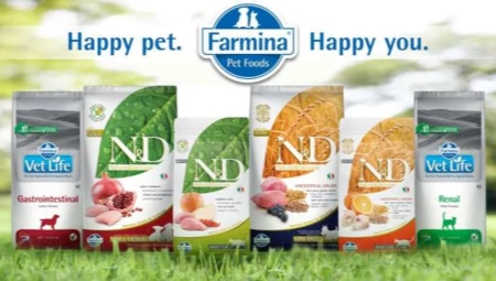 Dry food for cats Farmina