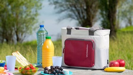Thermal bags: purpose and varieties