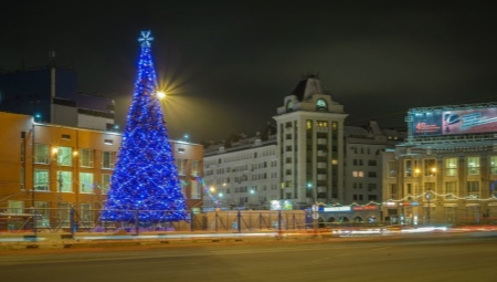 Options for decorating a street tree for the New Year