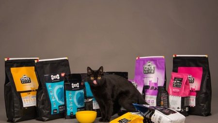 Everything you need to know about Gina food