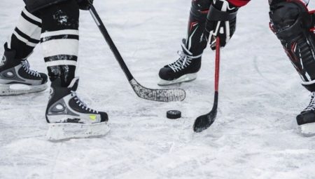 All about Bauer skates