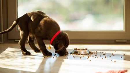 All About Abba Puppy Food